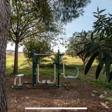 Pantana تروغير
